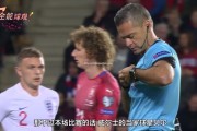 华体会体育-威尔士逼平捷克，积分榜位置略微上升