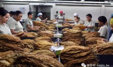 华体会体育-古巴女足在热身大赛中发挥稳定